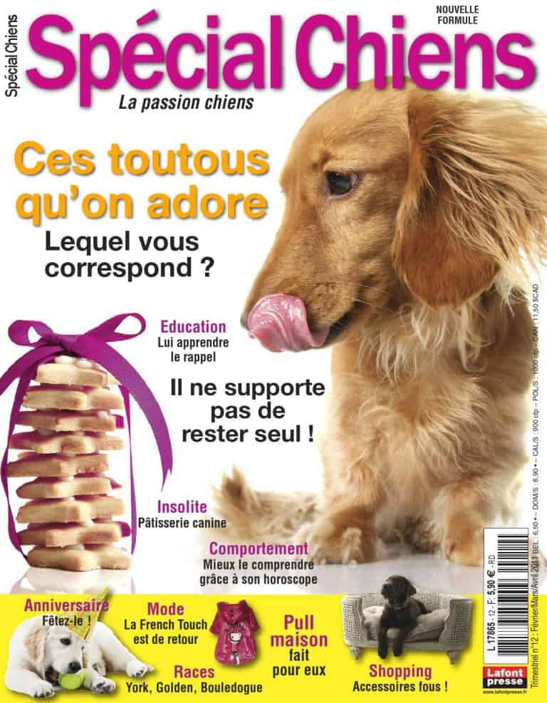 Dog Generation parfums et eaux de senteurs pour chiens Les Fauves