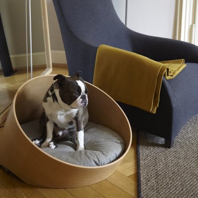 Une bonne idée le fauteuil chien? - nizzagirl - blog mode, blog